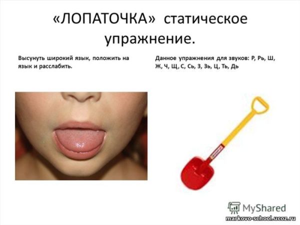 Артикуляционное упражнение «Лопаточка»